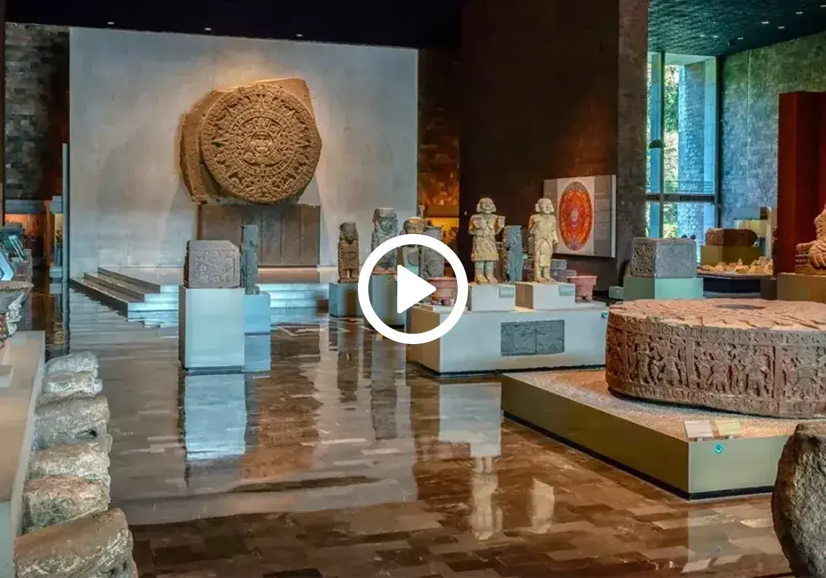 Anthropology And History Museum Experience