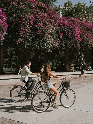 Couple cycling under bougainvillea in Mexico City