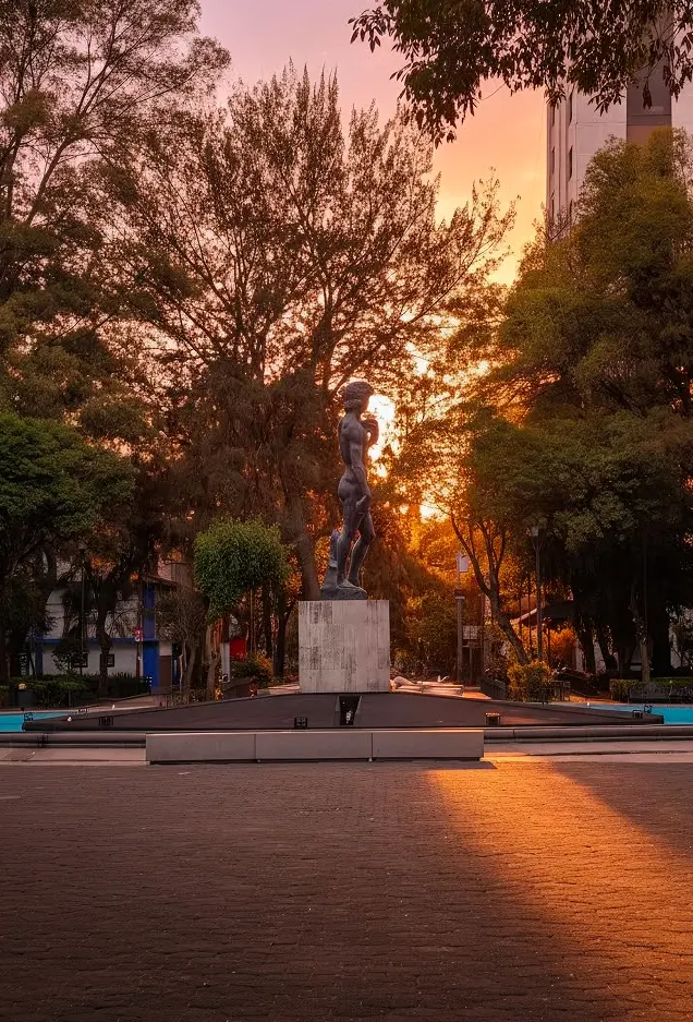 Tree-lined sidewalk in Roma Norte, Mexico City